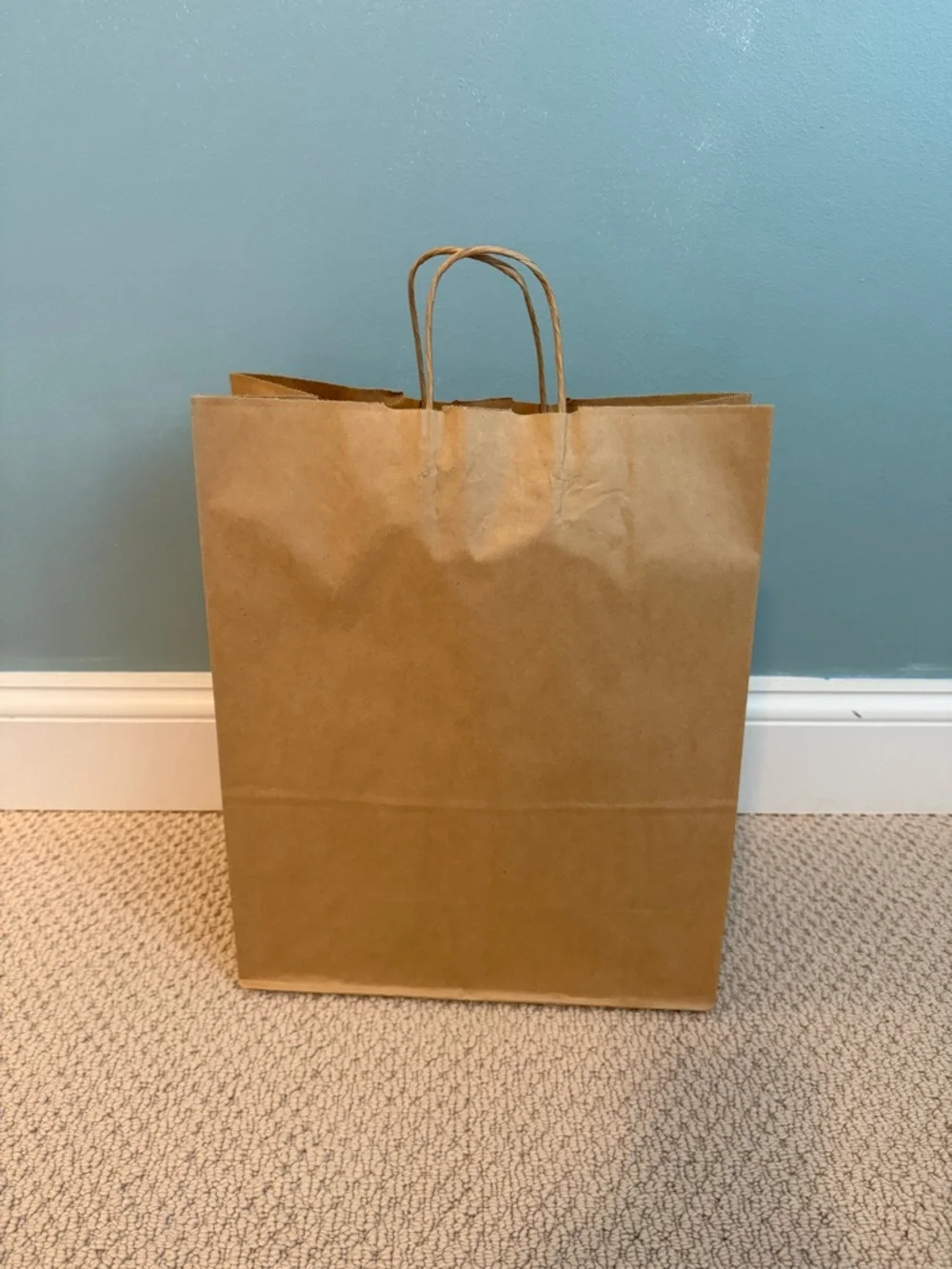 ULINE 31 Count Kraft Paper Shopping Bags 13 x 6 3/4 x 16